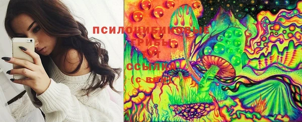 спиды Армянск