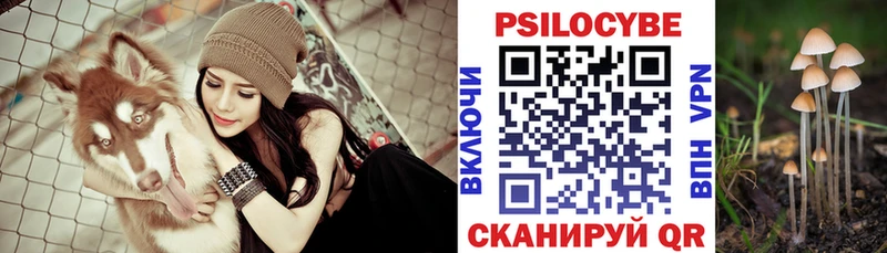Псилоцибиновые грибы Psilocybe Асбест